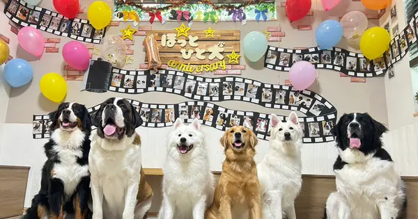 www.hottooneone.com の OGP 画像(縮小したコピー)