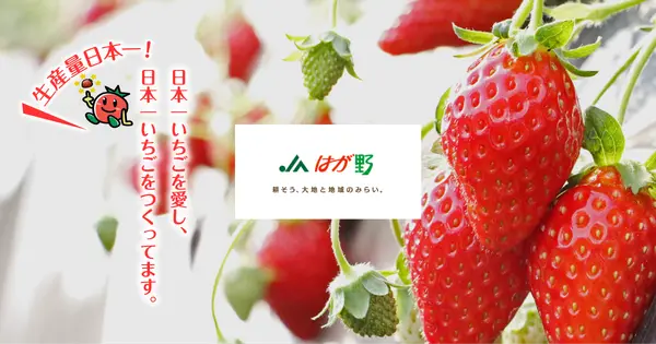 www.ja-hagano.or.jp の OGP 画像(縮小したコピー)