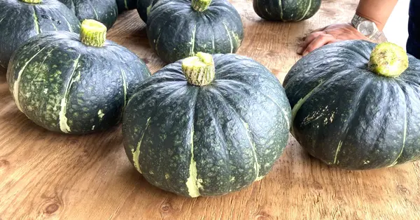 www.jainashiki-veg.com の OGP 画像（縮小したコピー）
