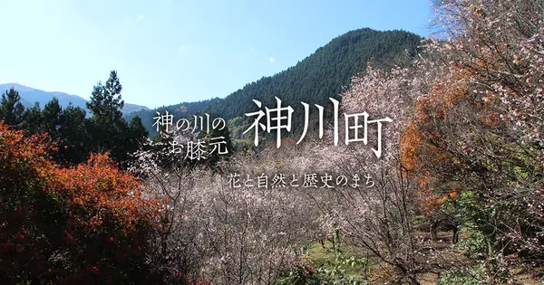 www.kamikawa-kanko.com の OGP 画像(縮小したコピー)
