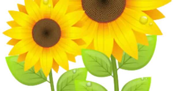 www.makie-office.com の OGP 画像(縮小したコピー)