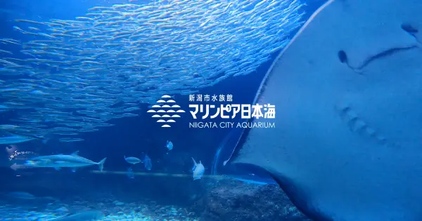 www.marinepia.or.jp の OGP 画像(縮小したコピー)