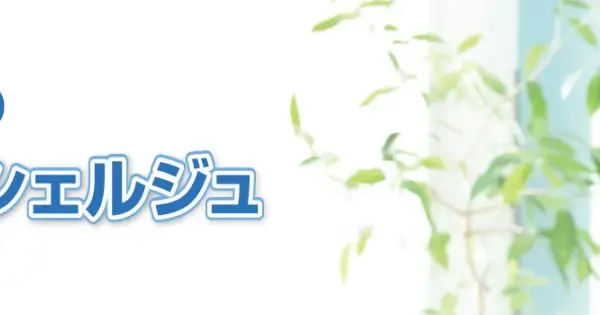 www.msrsoft.com の OGP 画像(縮小したコピー)