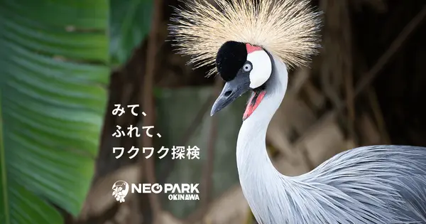 www.neopark.co.jp の OGP 画像(縮小したコピー)