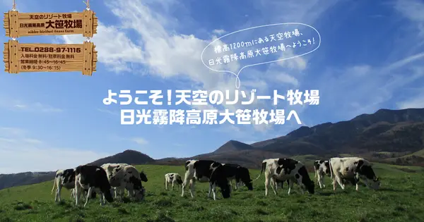 www.nikko-ozasa.jp の OGP 画像(縮小したコピー)