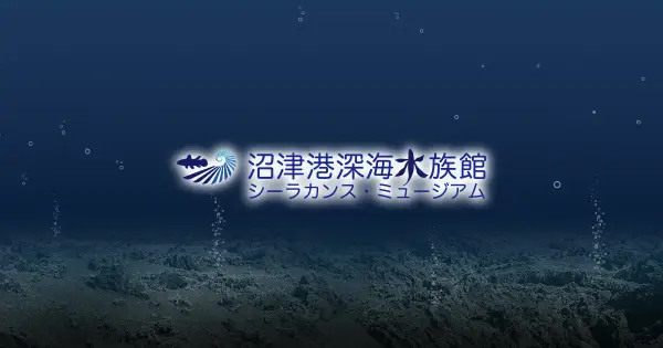 www.numazu-deepsea.com の OGP 画像(縮小したコピー)