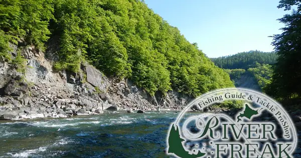 www.riverfreak.jp の OGP 画像(縮小したコピー)