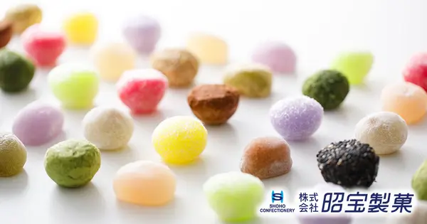 www.shohoseika.com の OGP 画像（縮小したコピー）