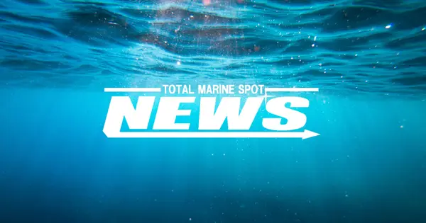 www.tms-news.jp の OGP 画像(縮小したコピー)