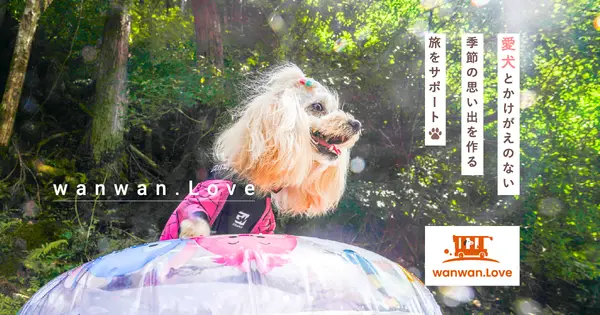 www.wanwan.love の OGP 画像(縮小したコピー)