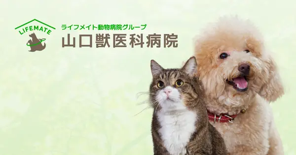 yamaguchi-vh.com の OGP 画像(縮小したコピー)