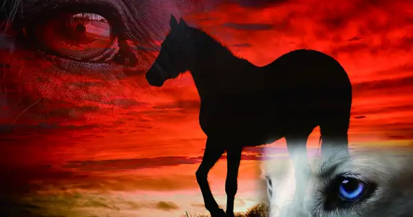 yuma-horseback.com の OGP 画像(縮小したコピー)