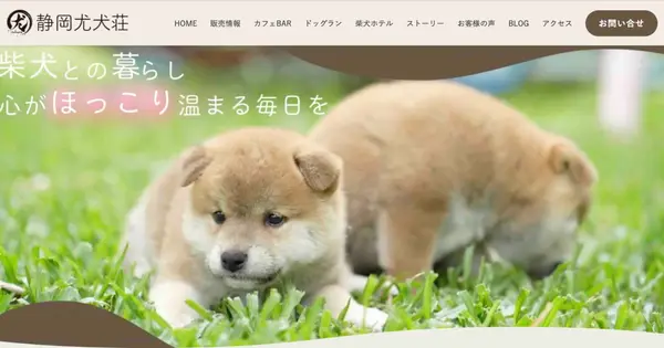 yuukensou.net の OGP 画像(縮小したコピー)